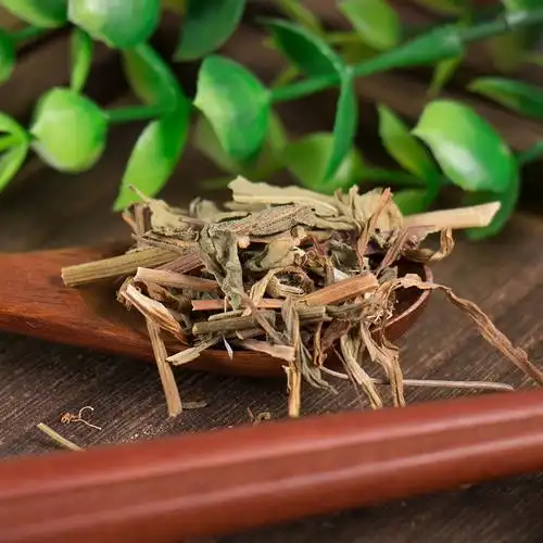 经穴按摩葆青春